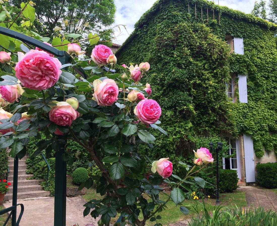 Le Moulin De La Beune Les Eyzies 외부 사진